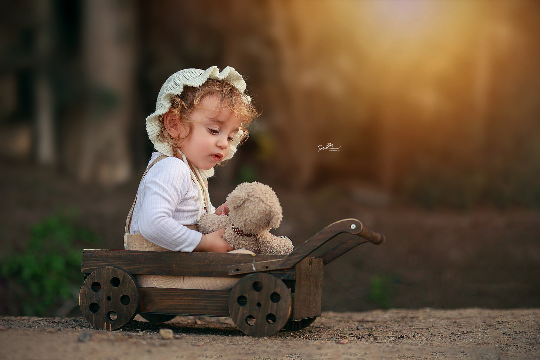 מוקטן עגלה.jpg