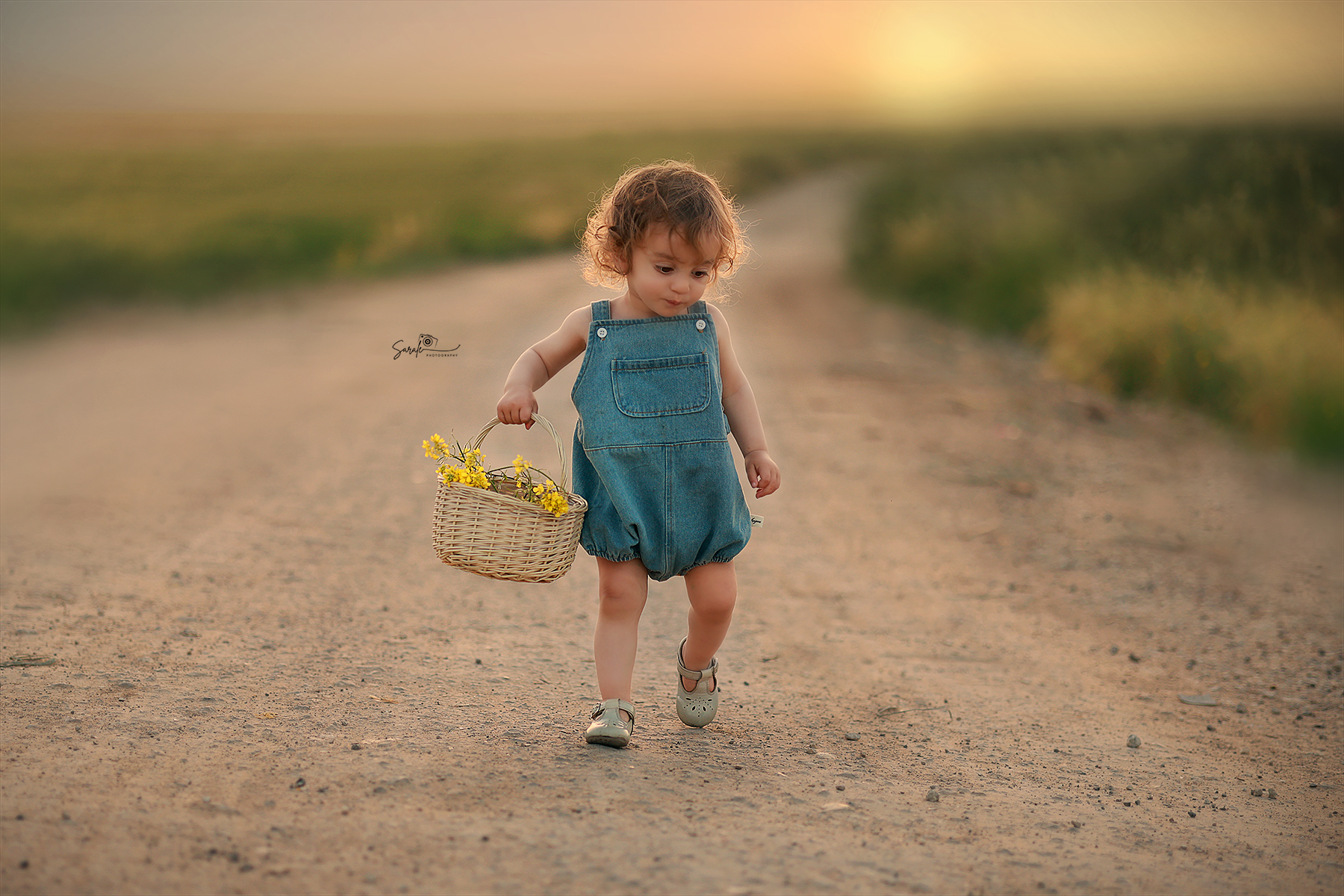 מוקטן פרחים.jpg