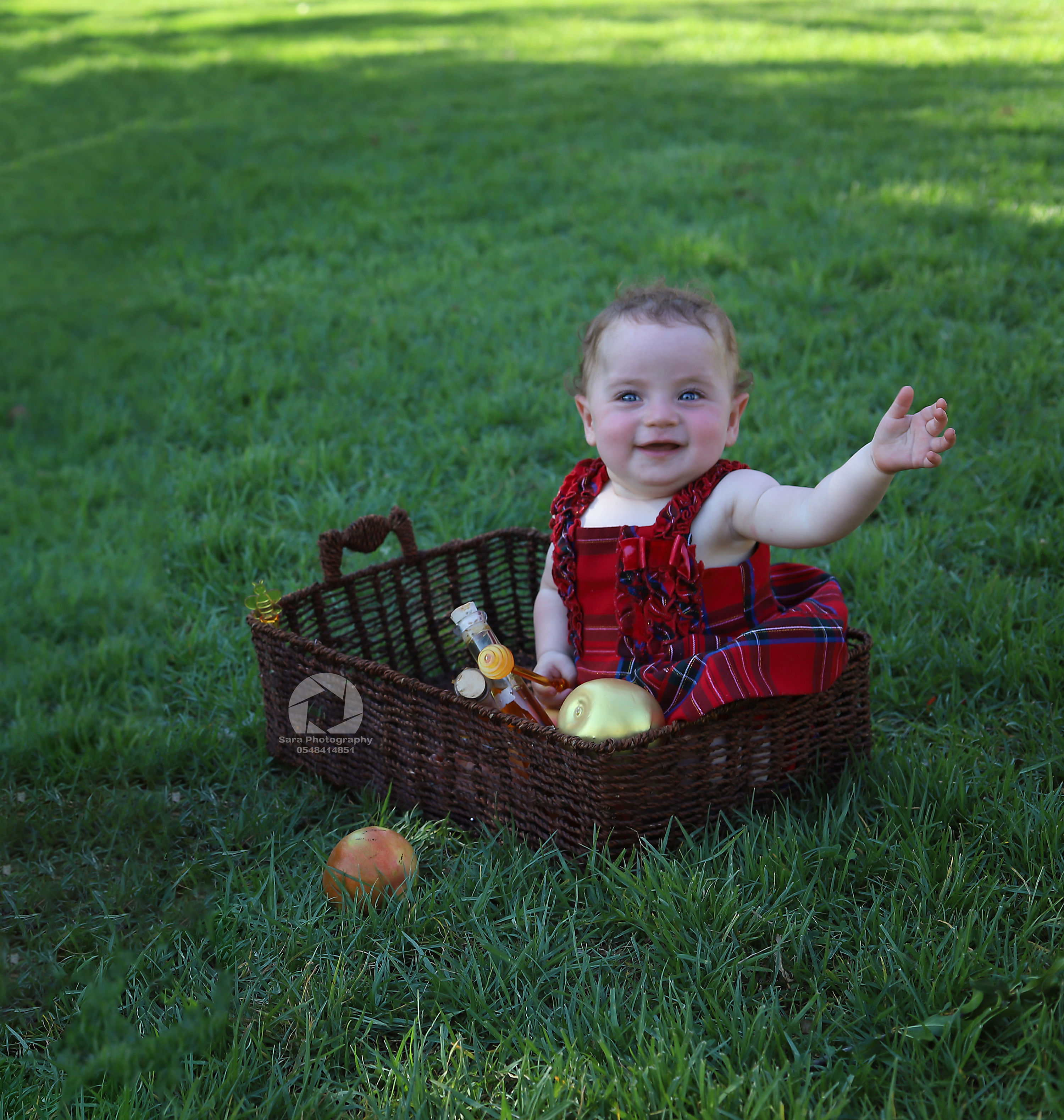 מוקטן תאומים1.jpg