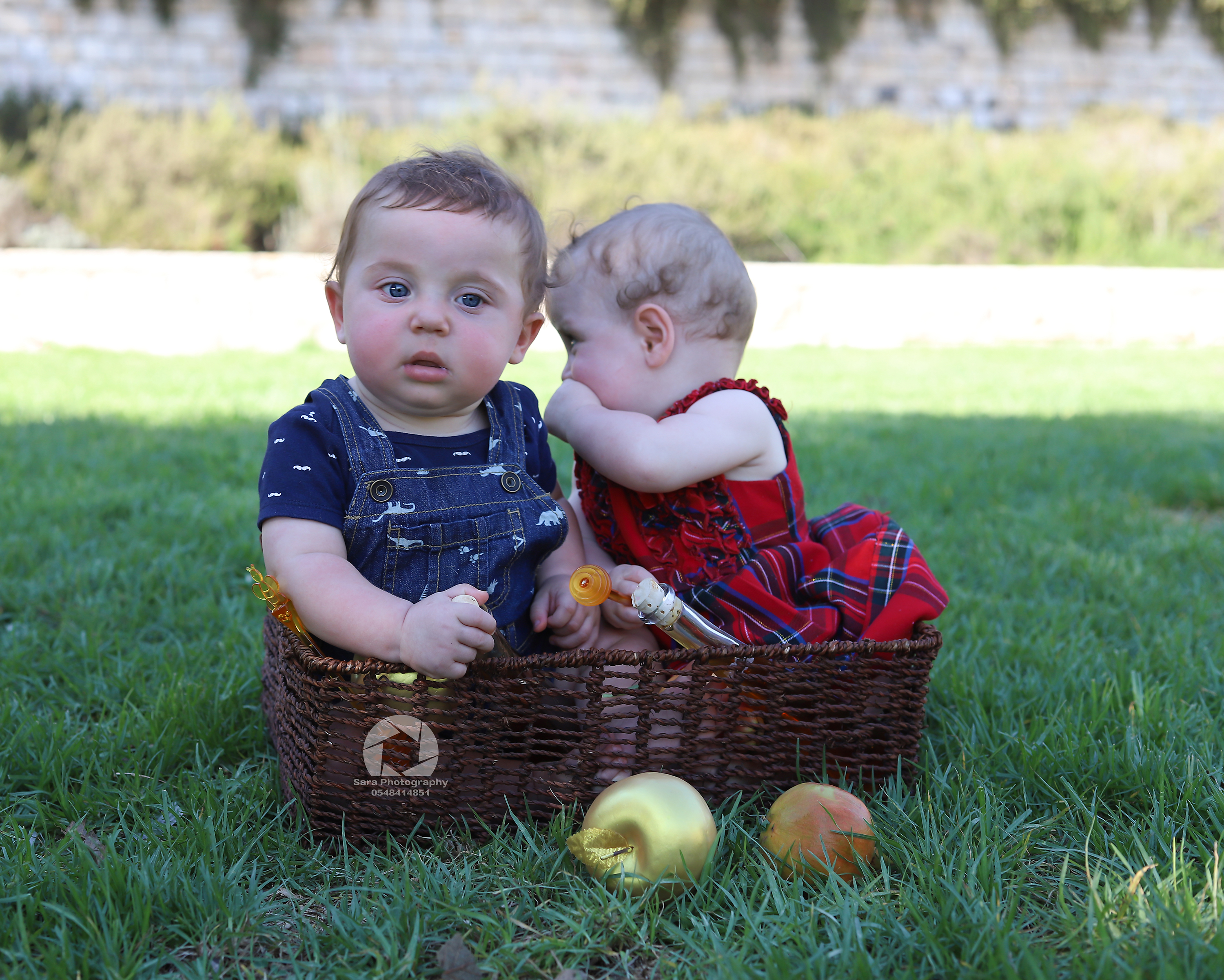 מוקטן תאומים3.jpg