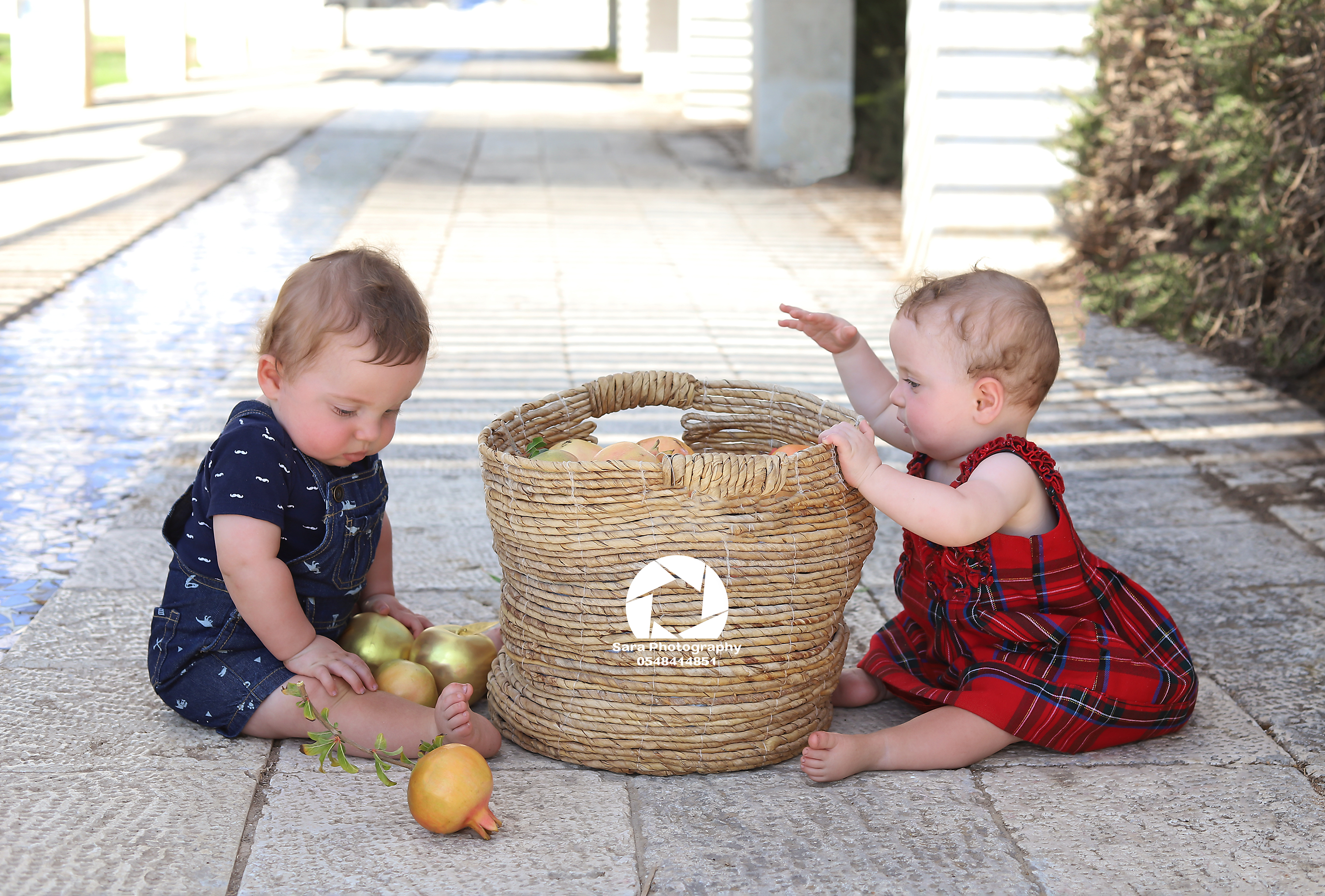 מוקטן תאומים4.jpg