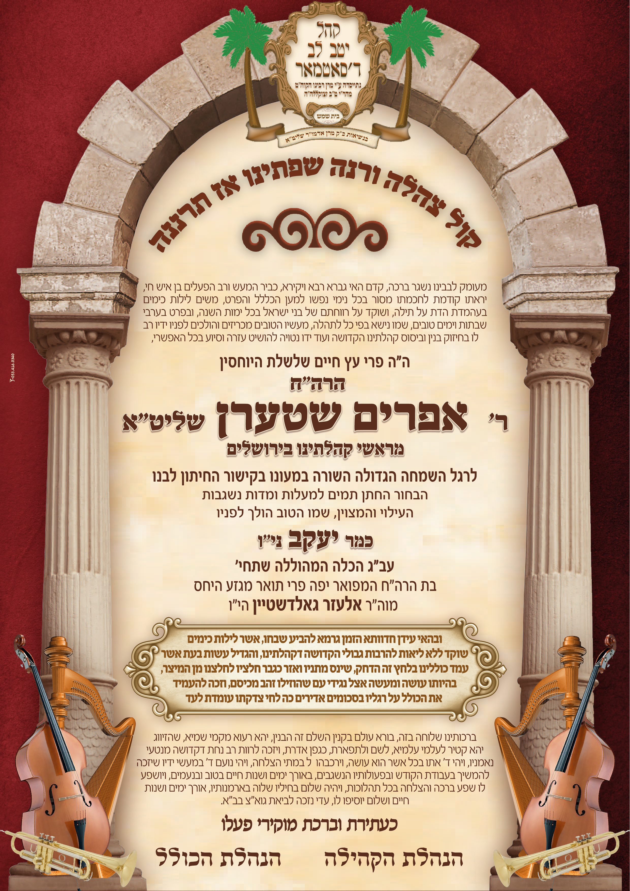 מזל''ט אפרים שטערן נישואי בנו.png