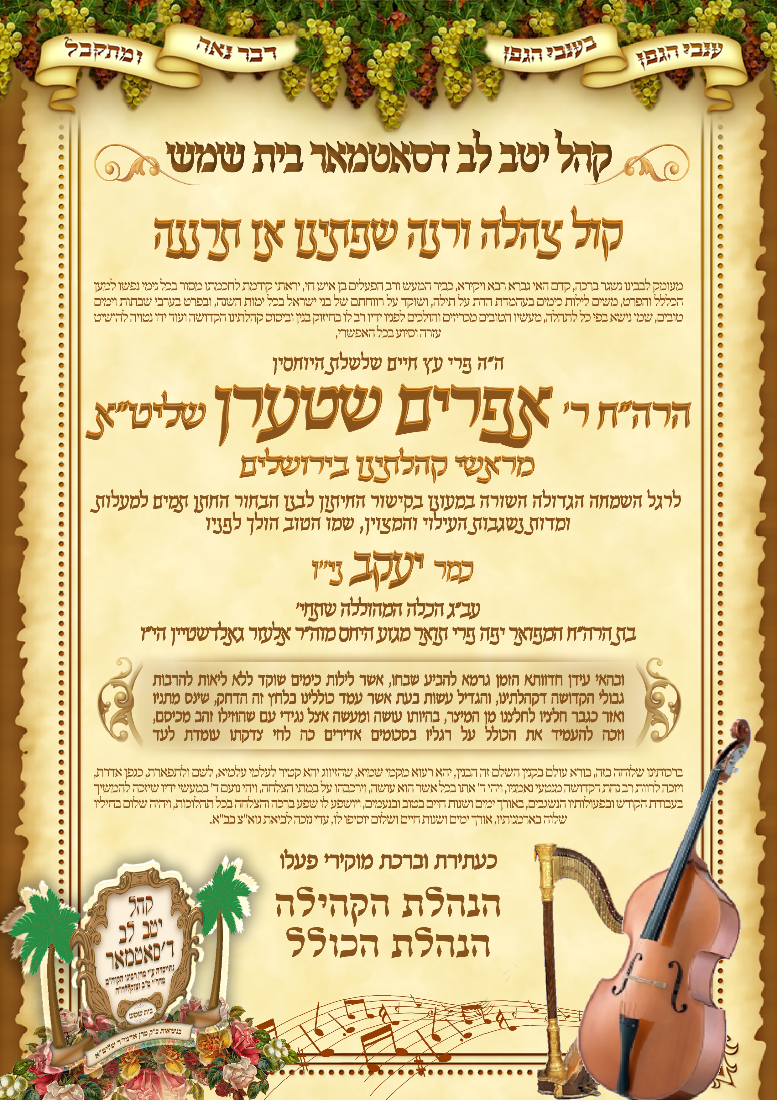 מזל''ט אפרים שטערן.png