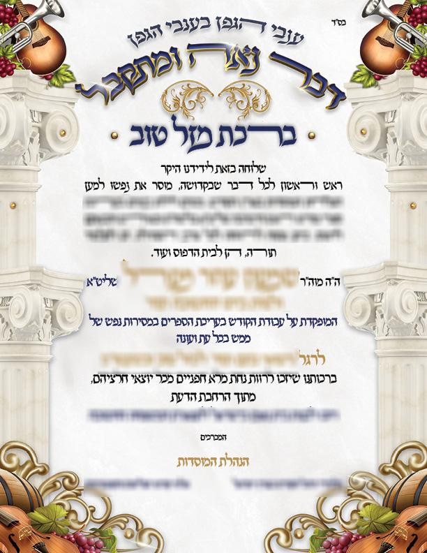 מזלט לתיק.jpg