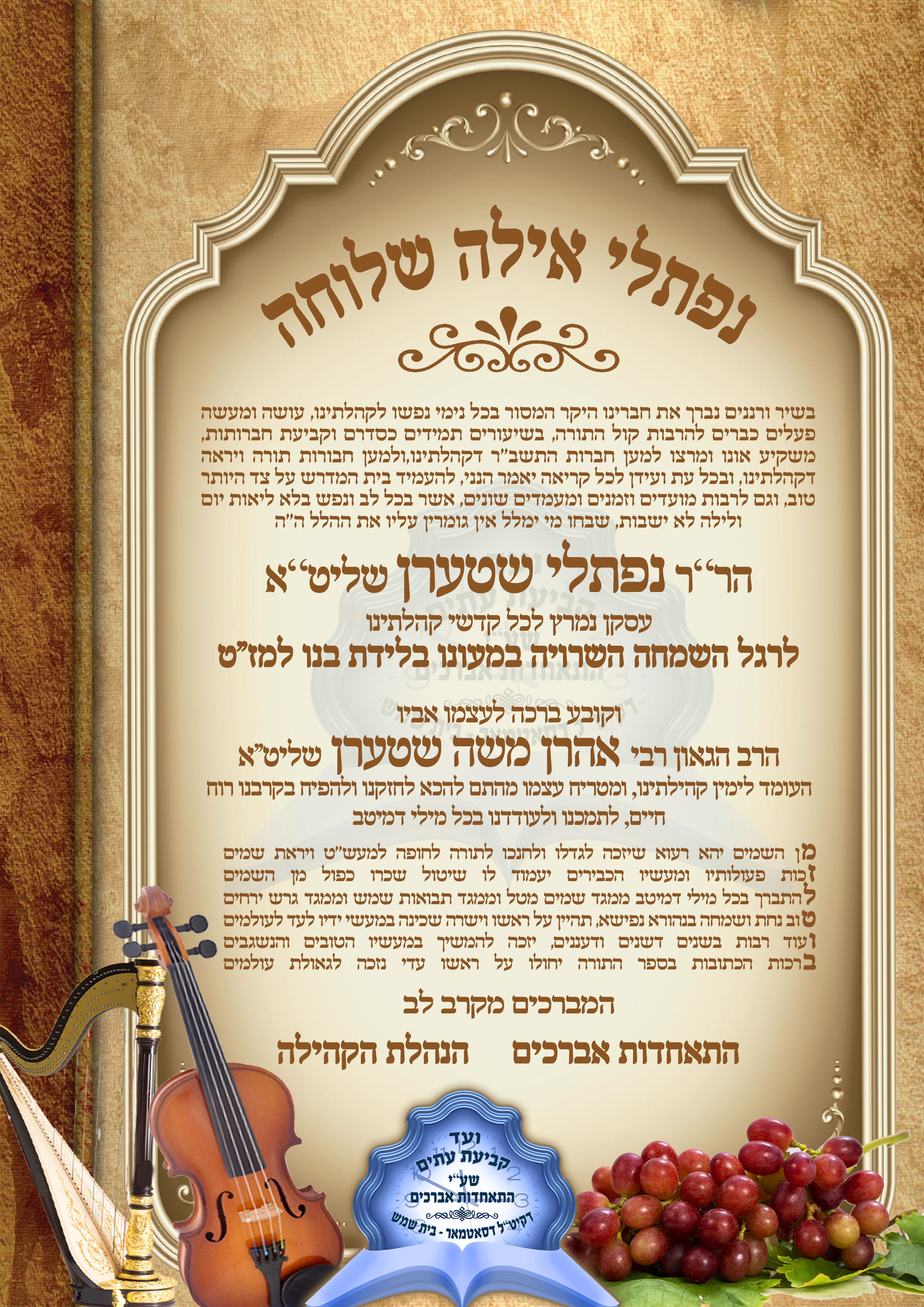 מזל''ט נפתלי שטערן 2.png