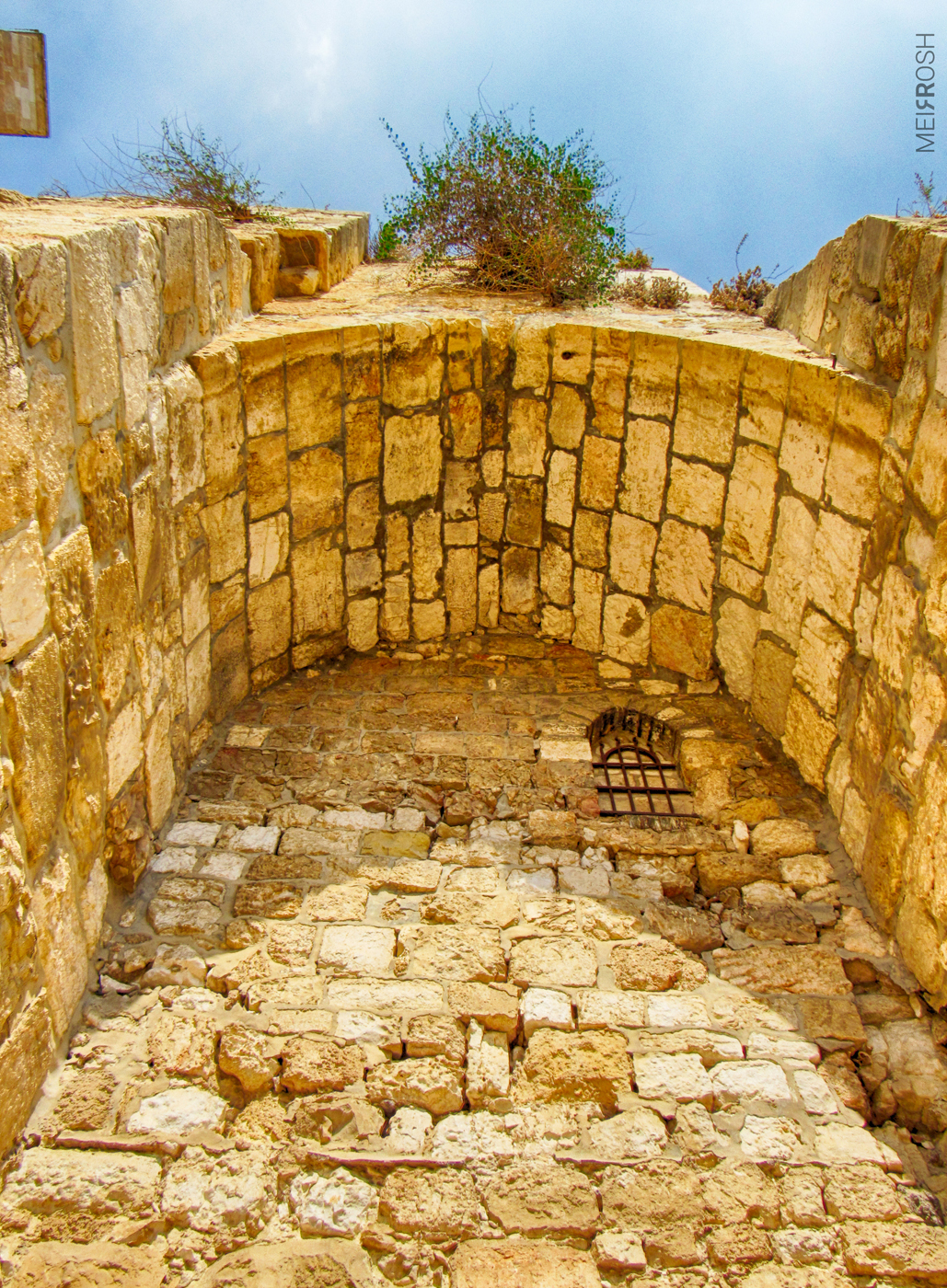 מחומות הר הבית (1)