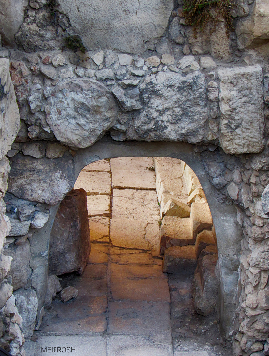 מחומות הר הבית (5)