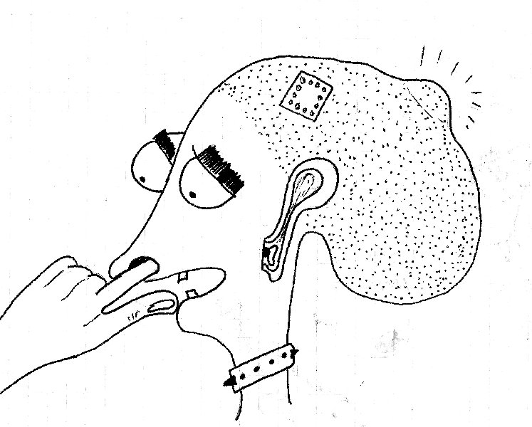 מחפש אוצרות