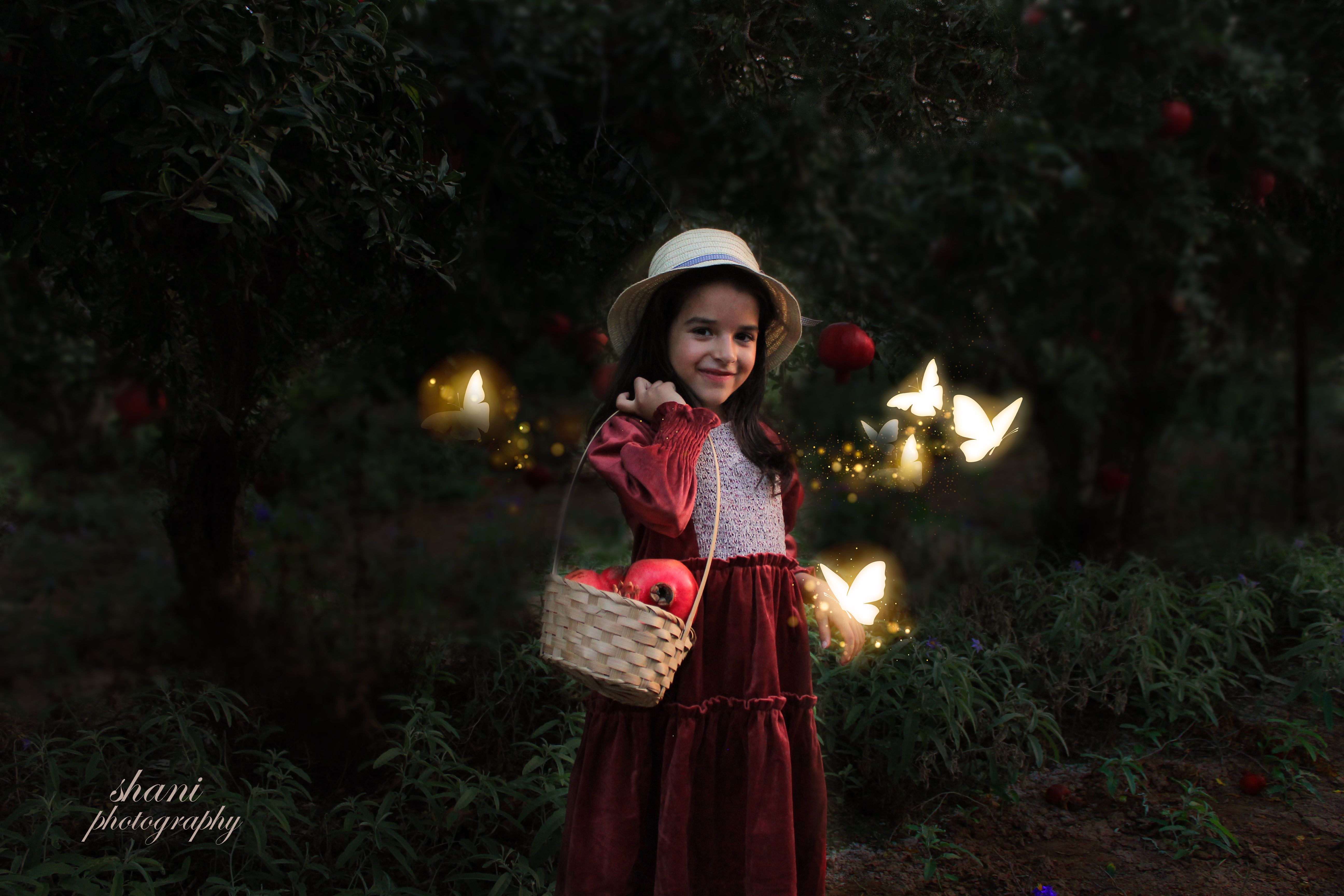 מטע רימונים3.jpg