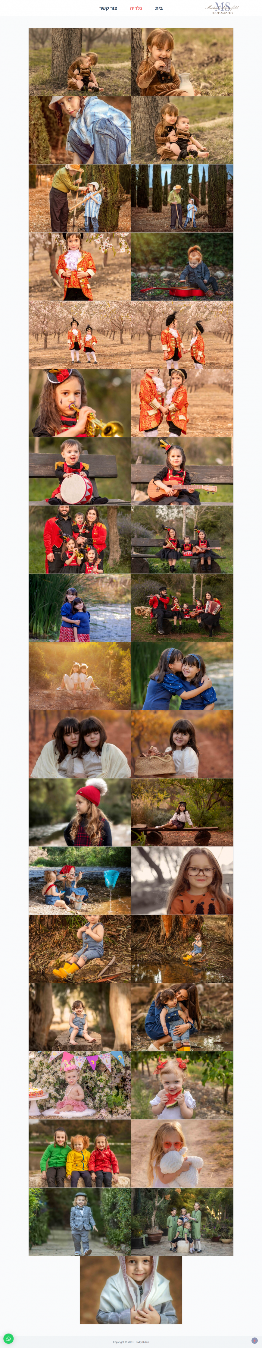 מיכל שטרנפלד - גלריה