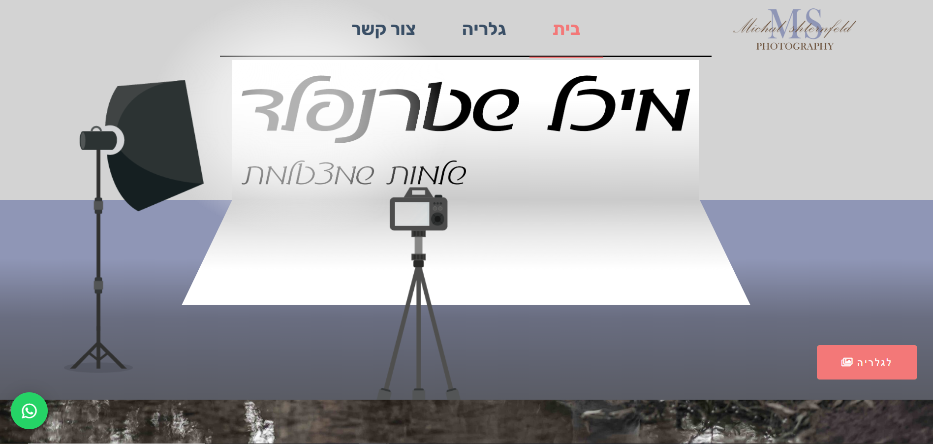 מיכל שטרנפלד - דף הבית (1)