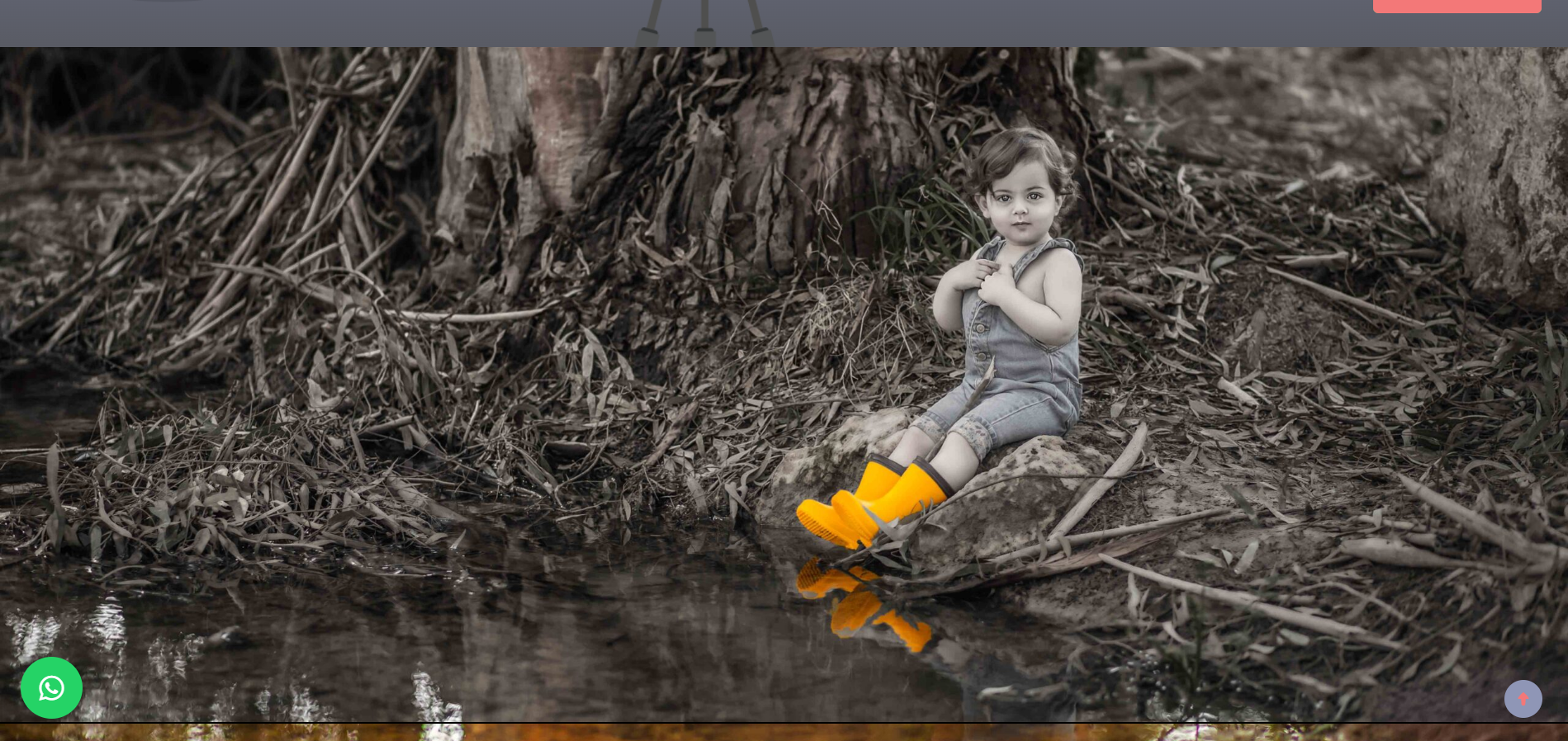 מיכל שטרנפלד - דף הבית (2)