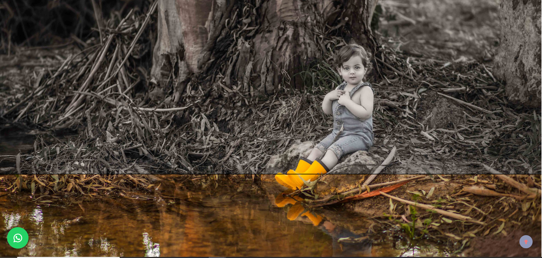 מיכל שטרנפלד - דף הבית (3)