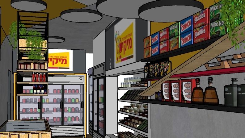 מיקי הדמיה 1.jpg