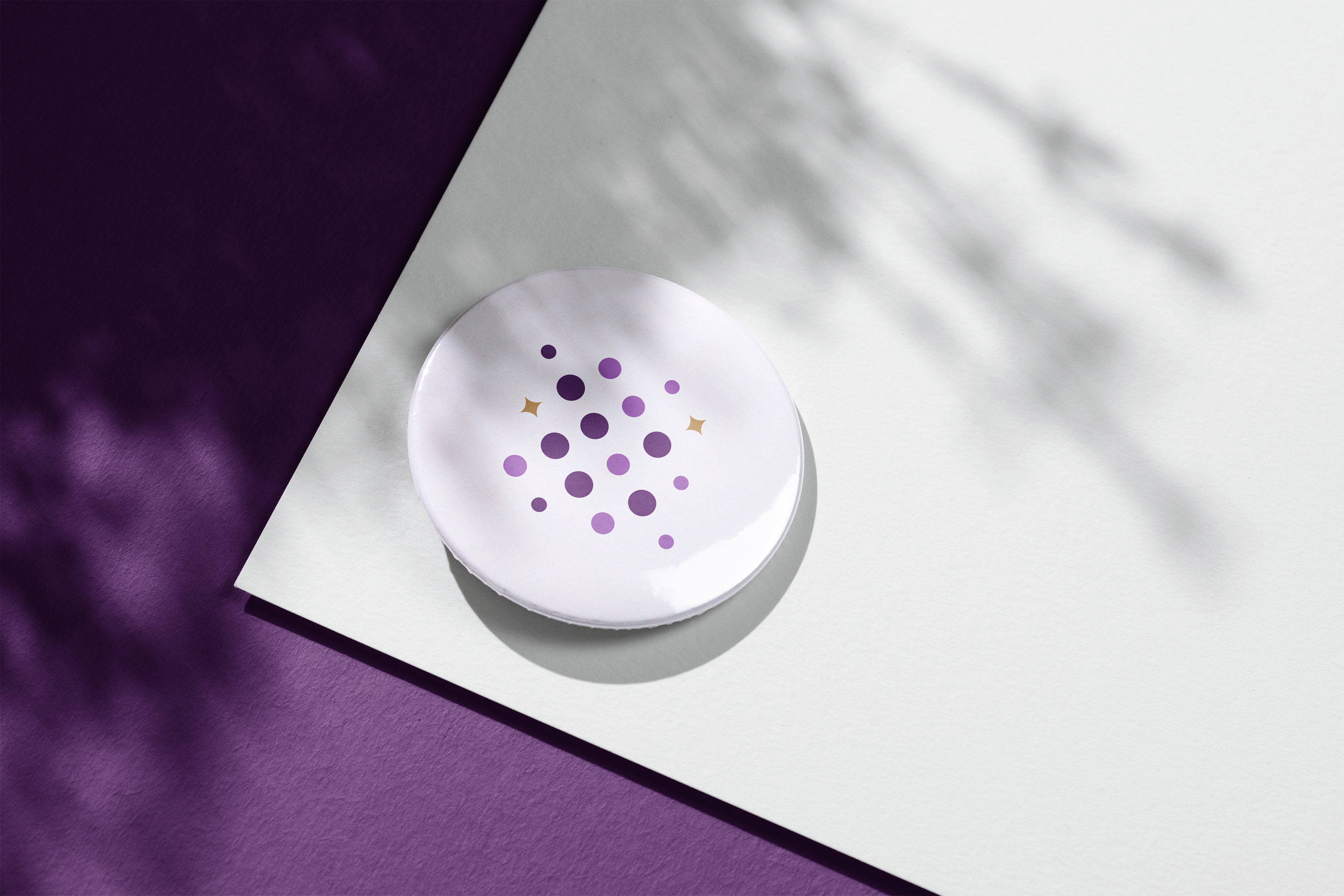 מיתוג הוקוס בלונים