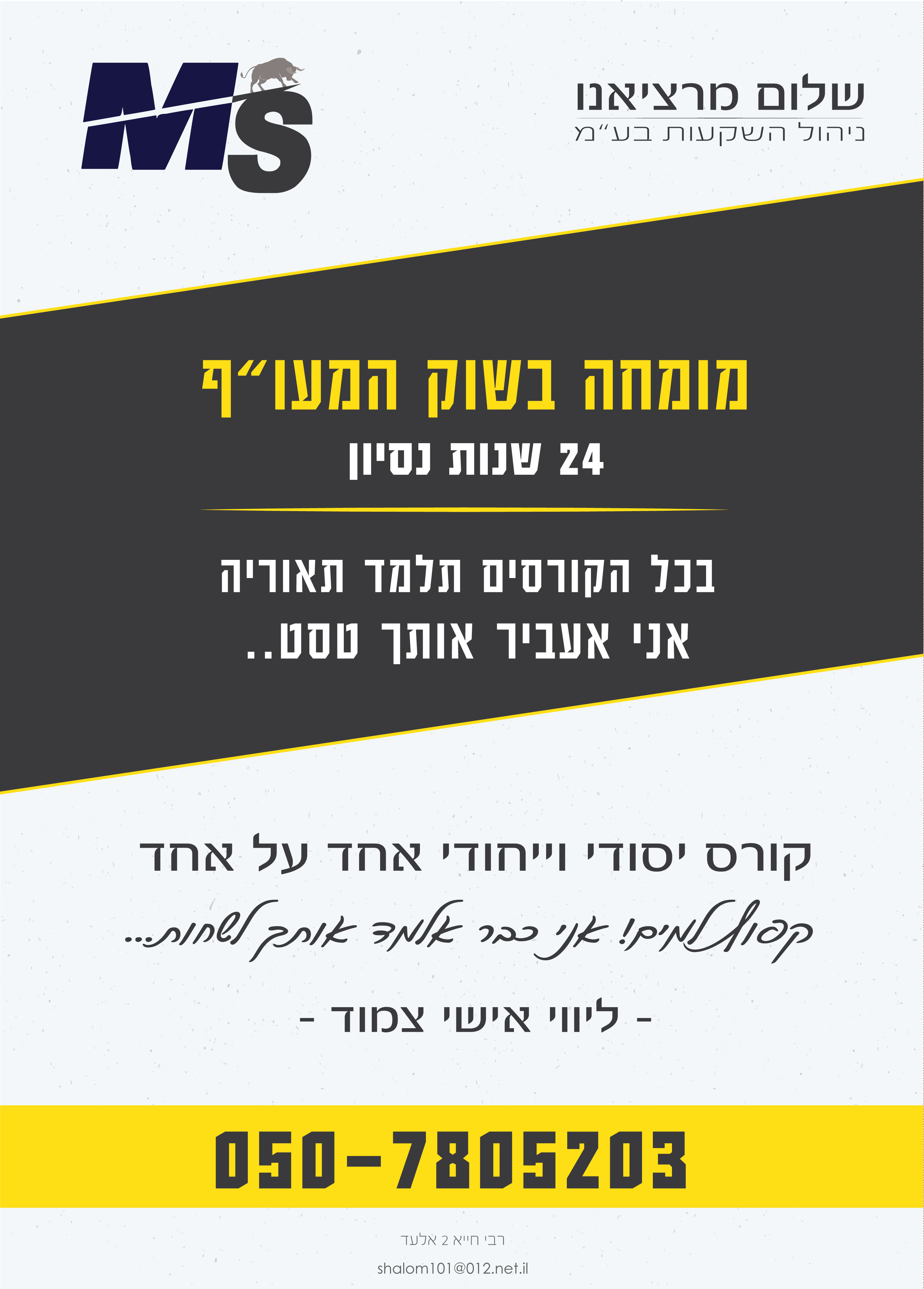 מיתוג למשרד השקעות