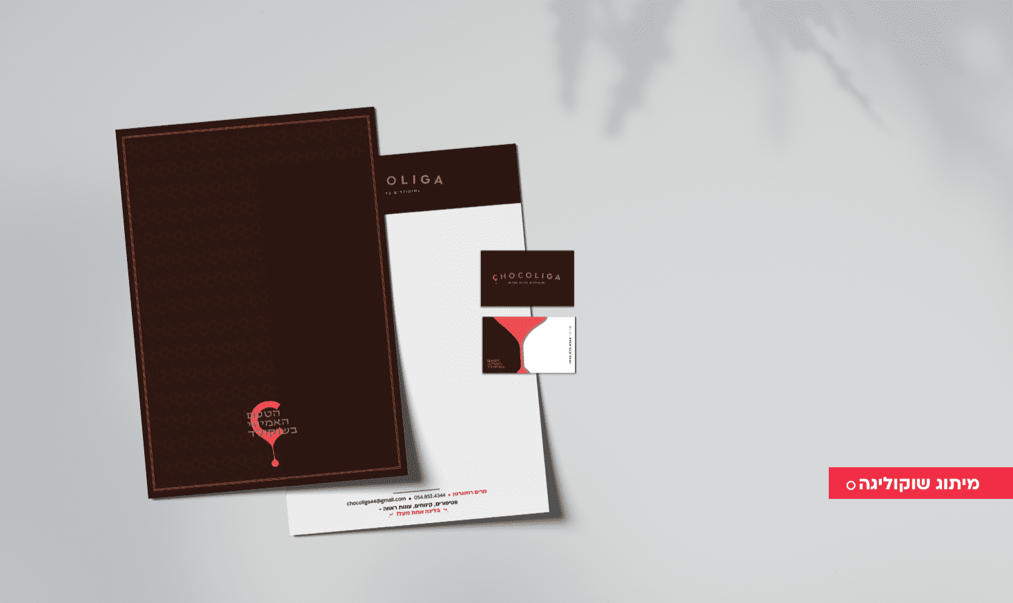 מיתוג קונדיטורית שוקוליגה