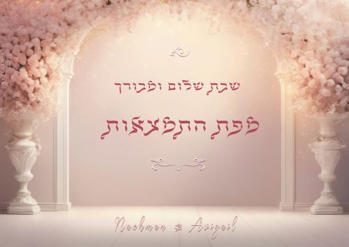 מיתוג שבת חתן אדל גניש (1).jpg