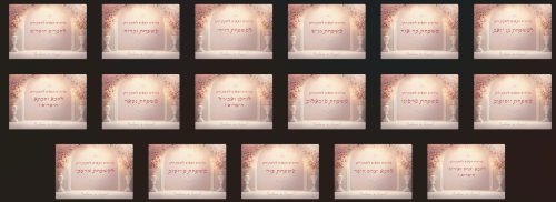 מיתוג שבת חתן אדל גניש (1).png