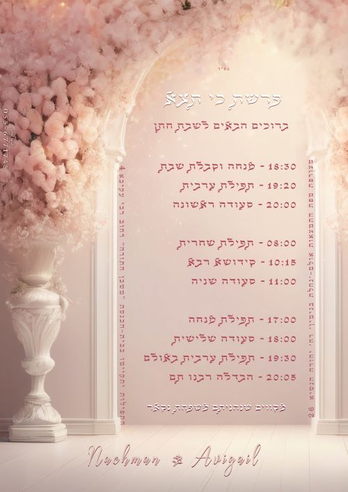 מיתוג שבת חתן אדל גניש (3).jpg