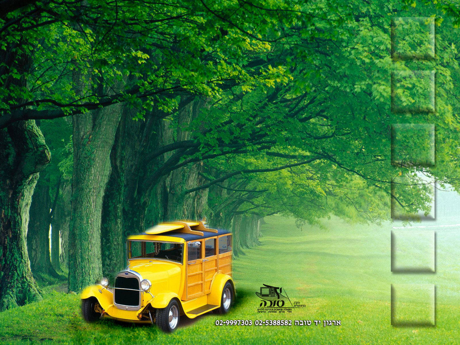 מכונית ביער