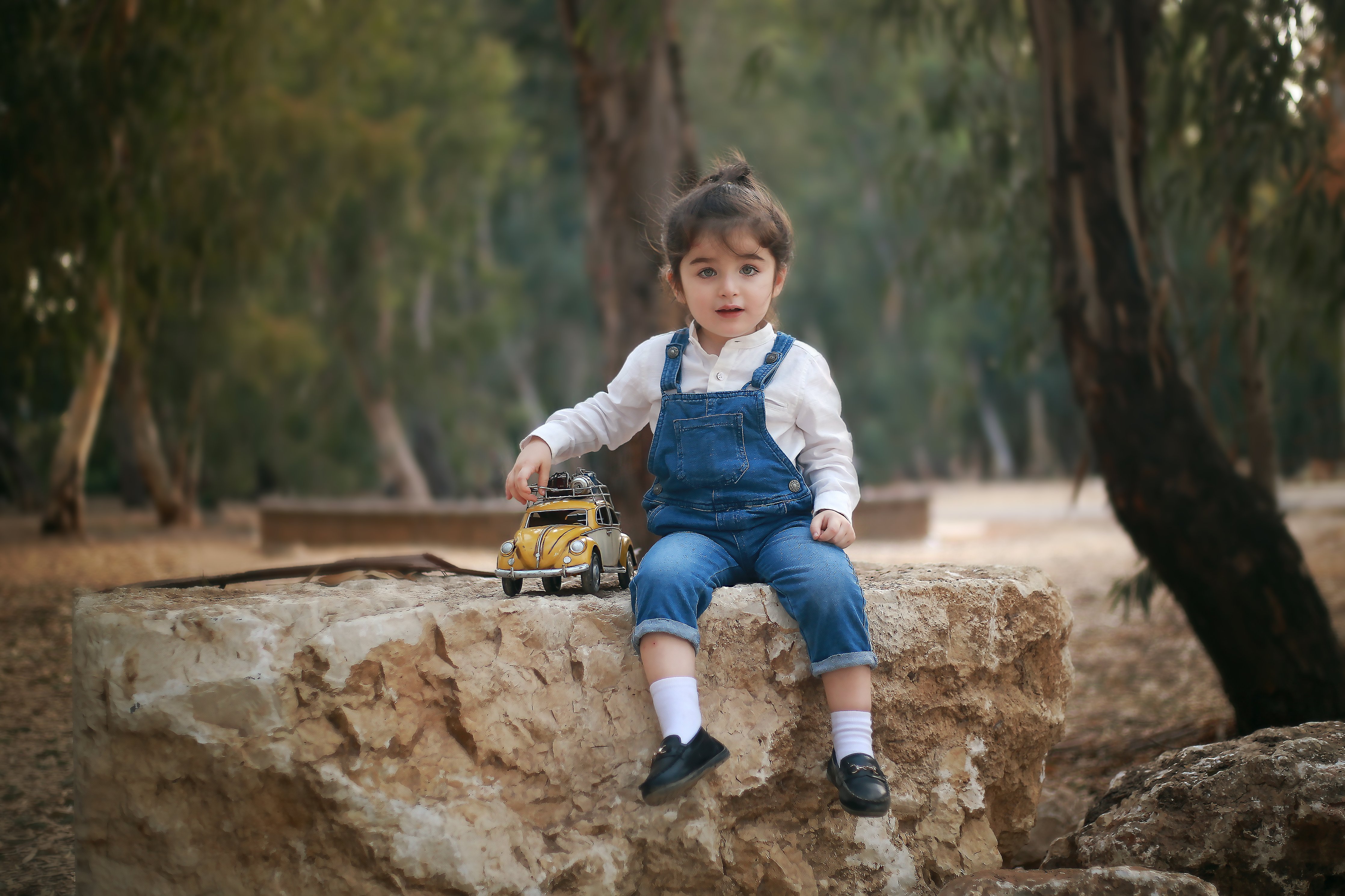 מכונית copy.jpg