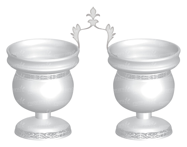 מלחיה - וקטור מלא!