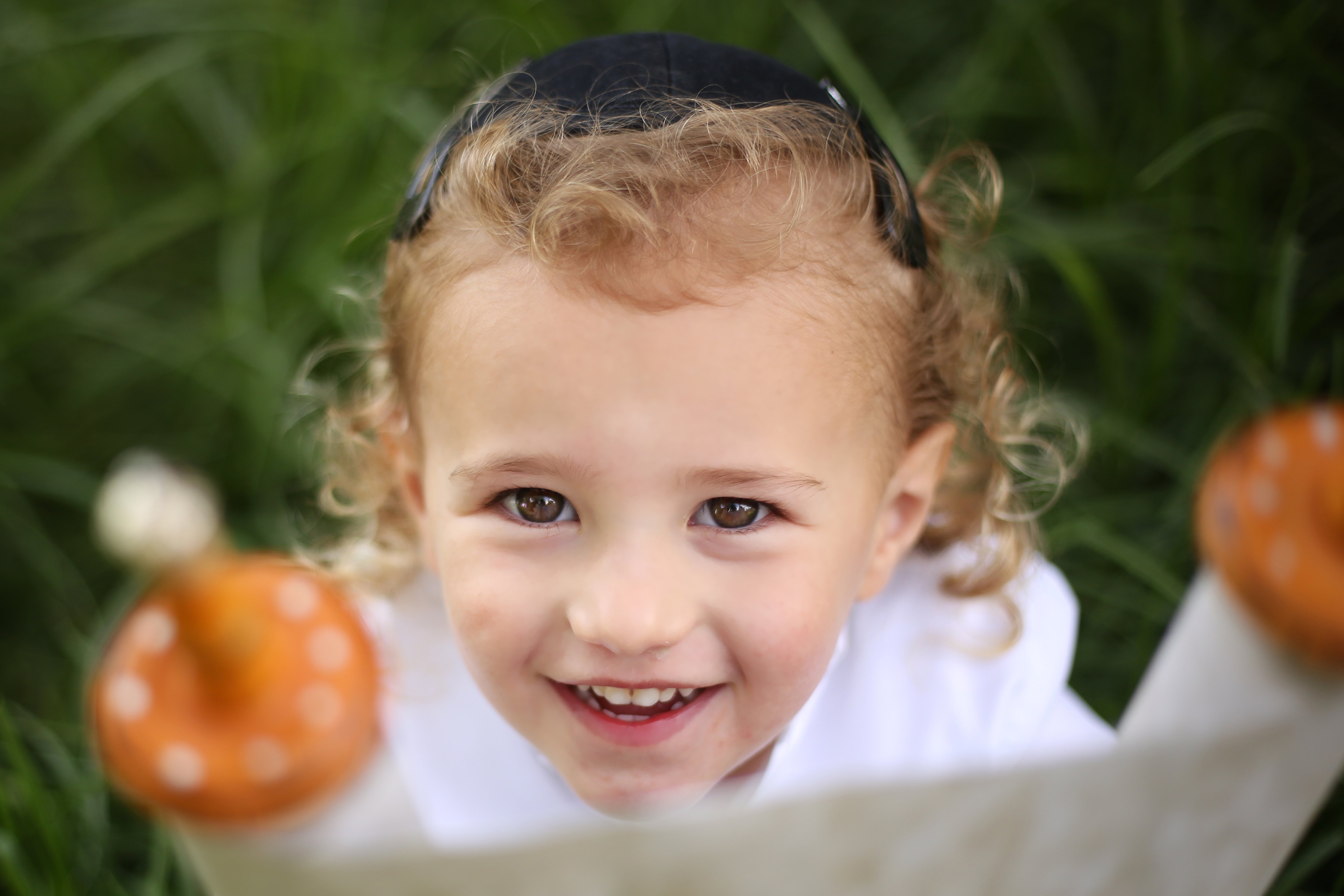 מלמעלה copy.jpg