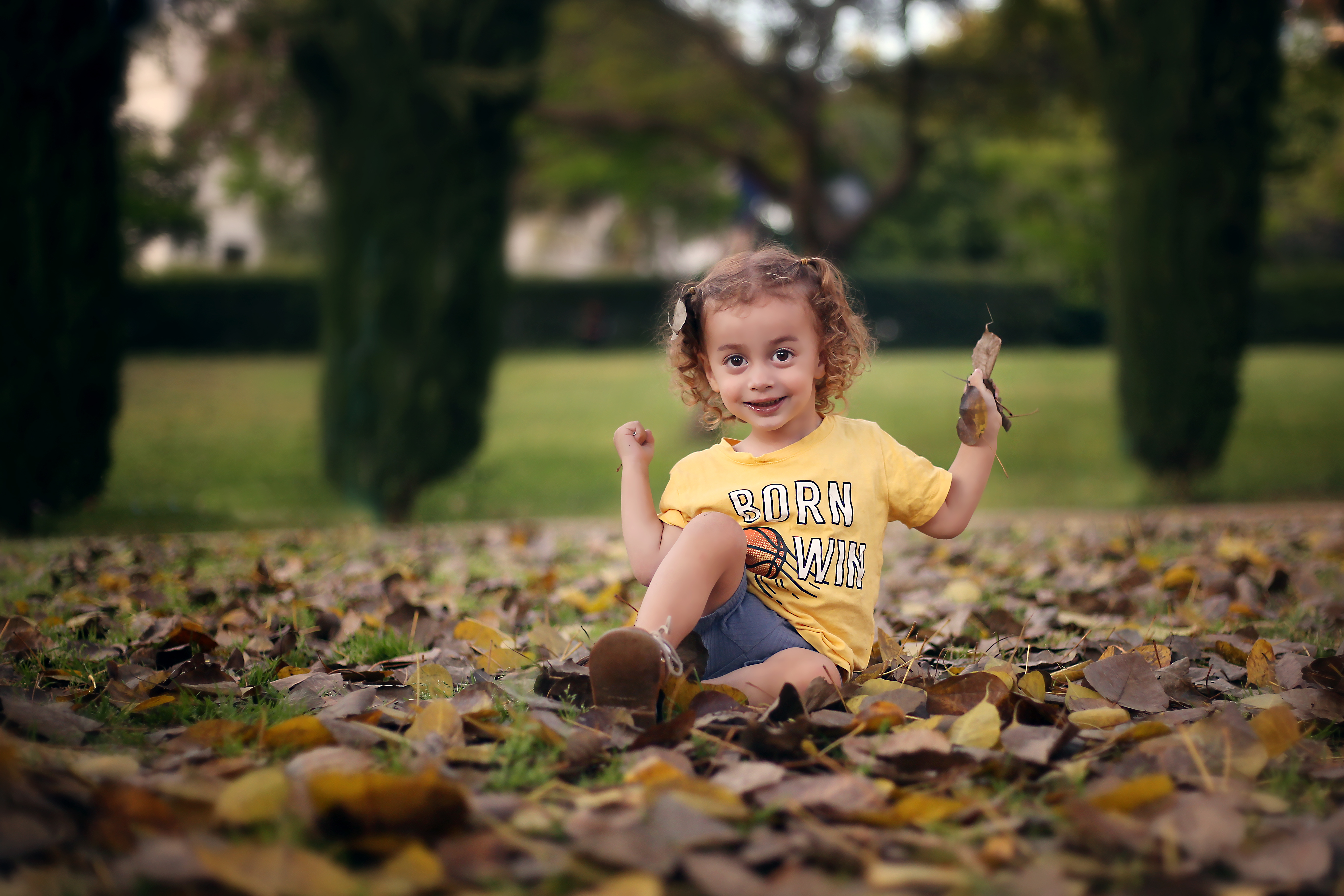 מנחם יונגרמן copy.jpg