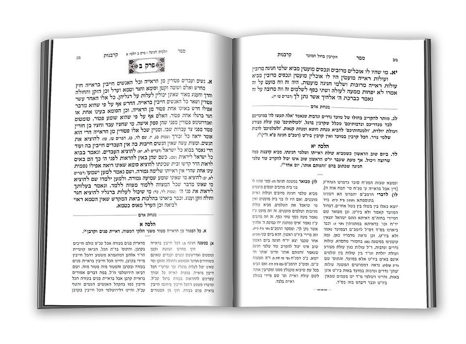 מנחת אדם חלק ראשון רץ