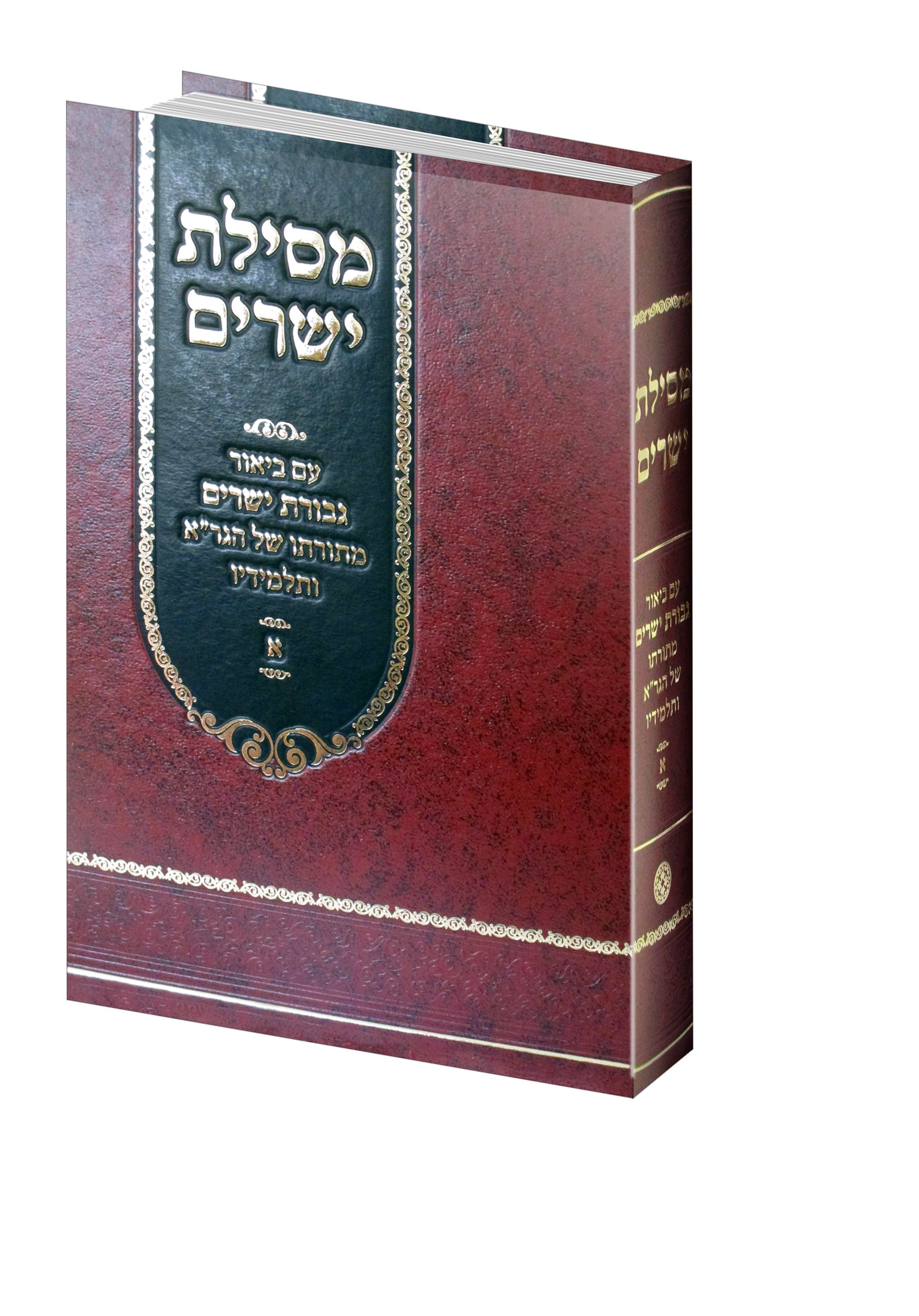 +מסילת ישרים - הדמיה.png