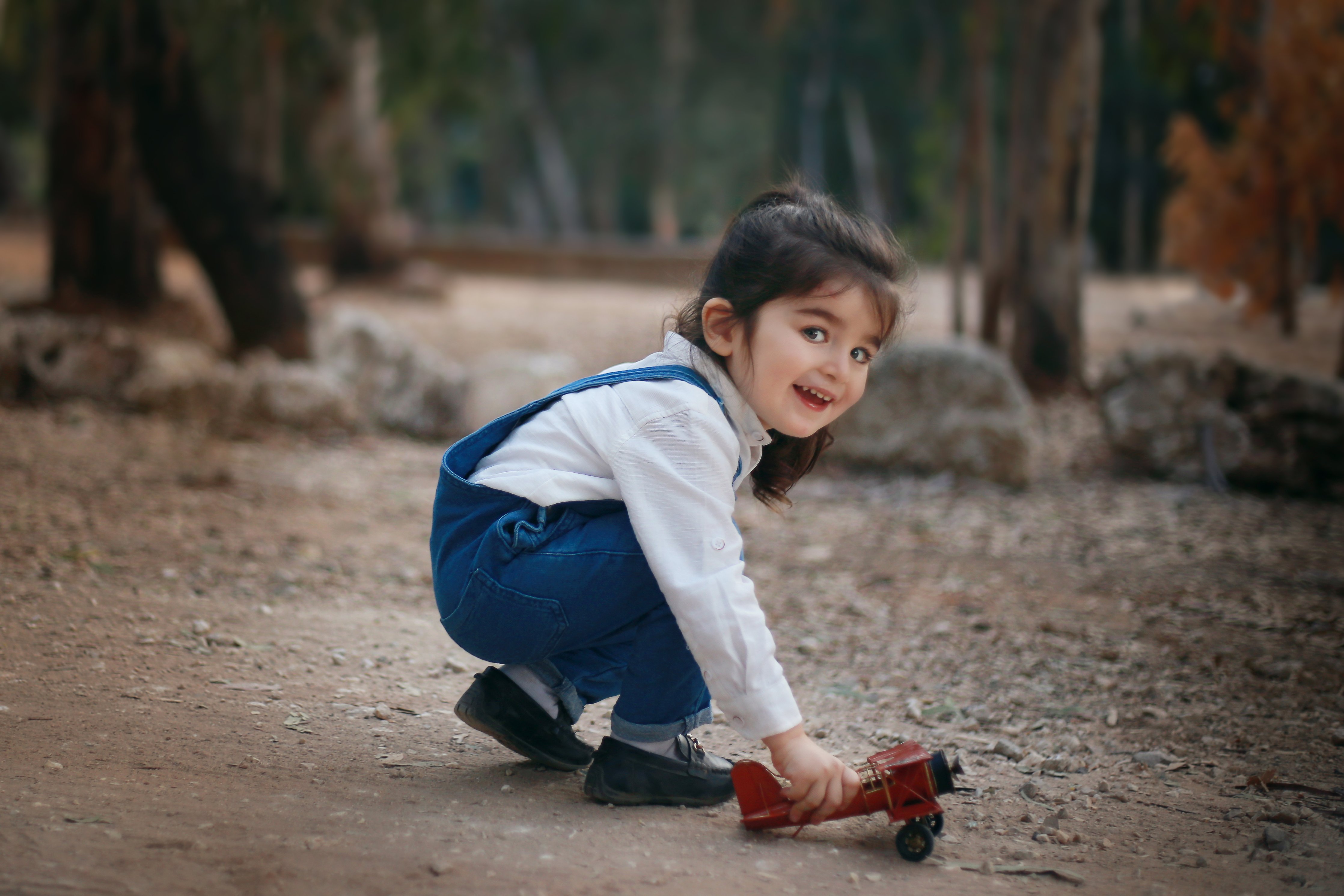 מסיע מטוס copy 2.jpg