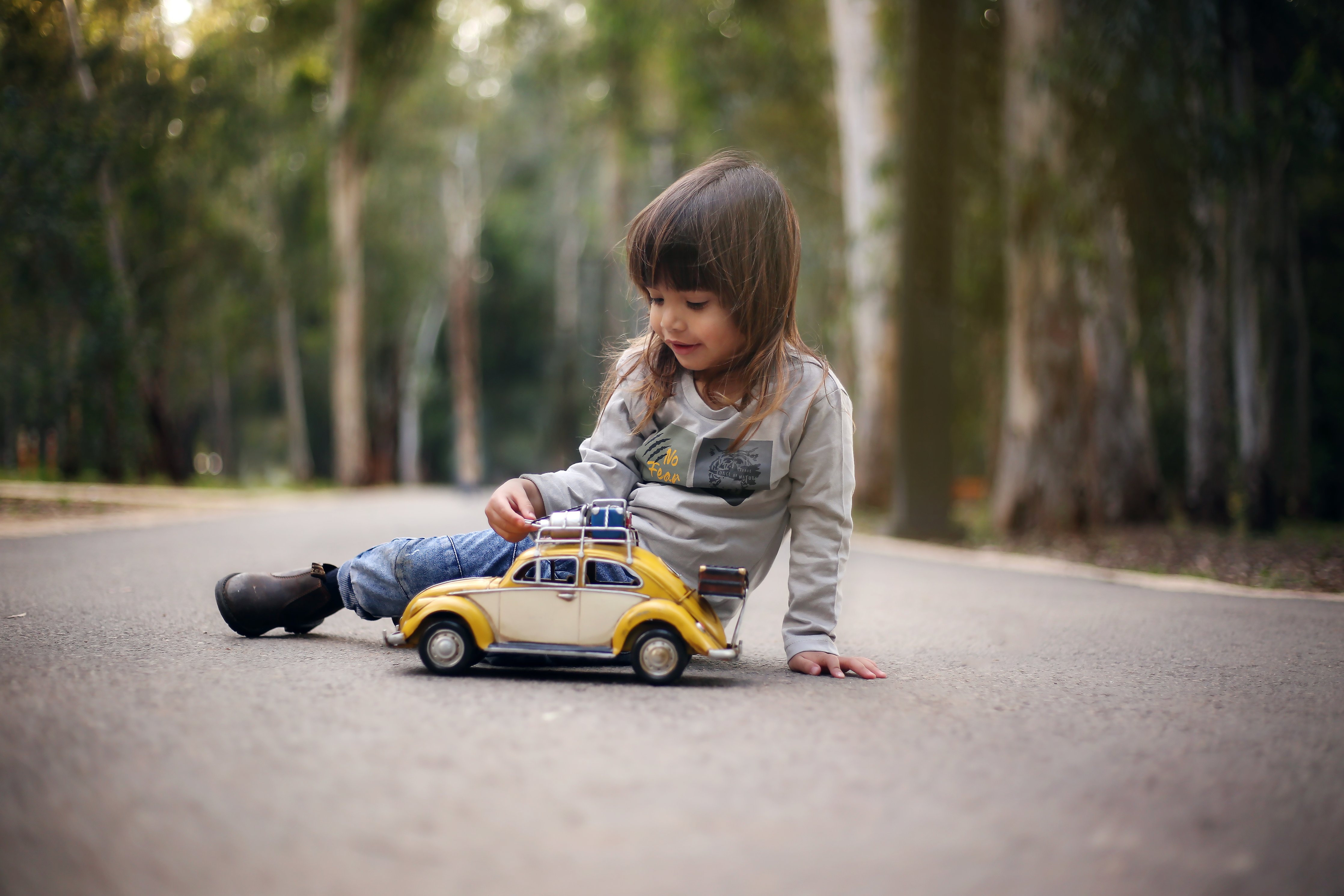 מסיע מכונית copy.jpg