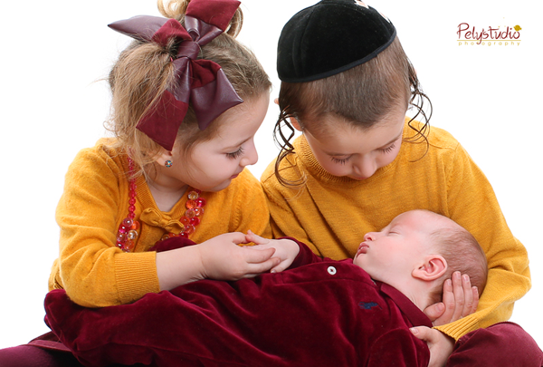 מסתכלים צבי