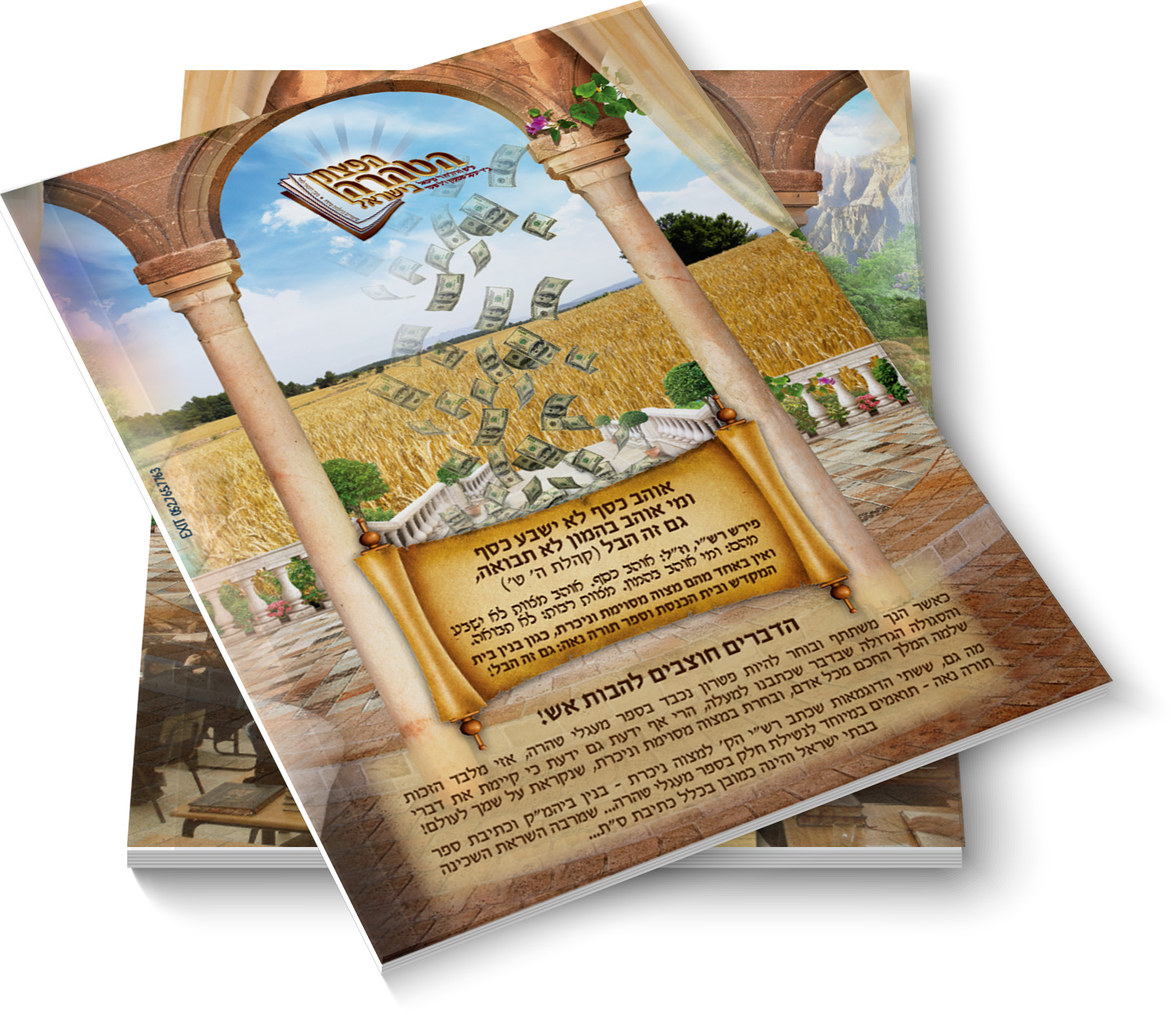 מעגלי טהרה אחורי