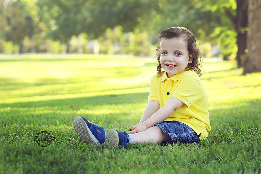 מעובד גליצנשטיין (1)