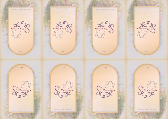 מעמדים כפול 2 אי 4 צבעוני.jpg