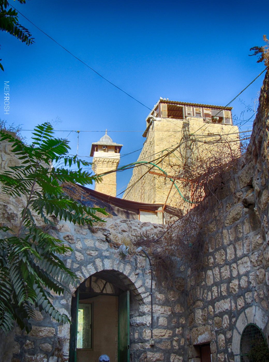 מערת המכפלה (15)