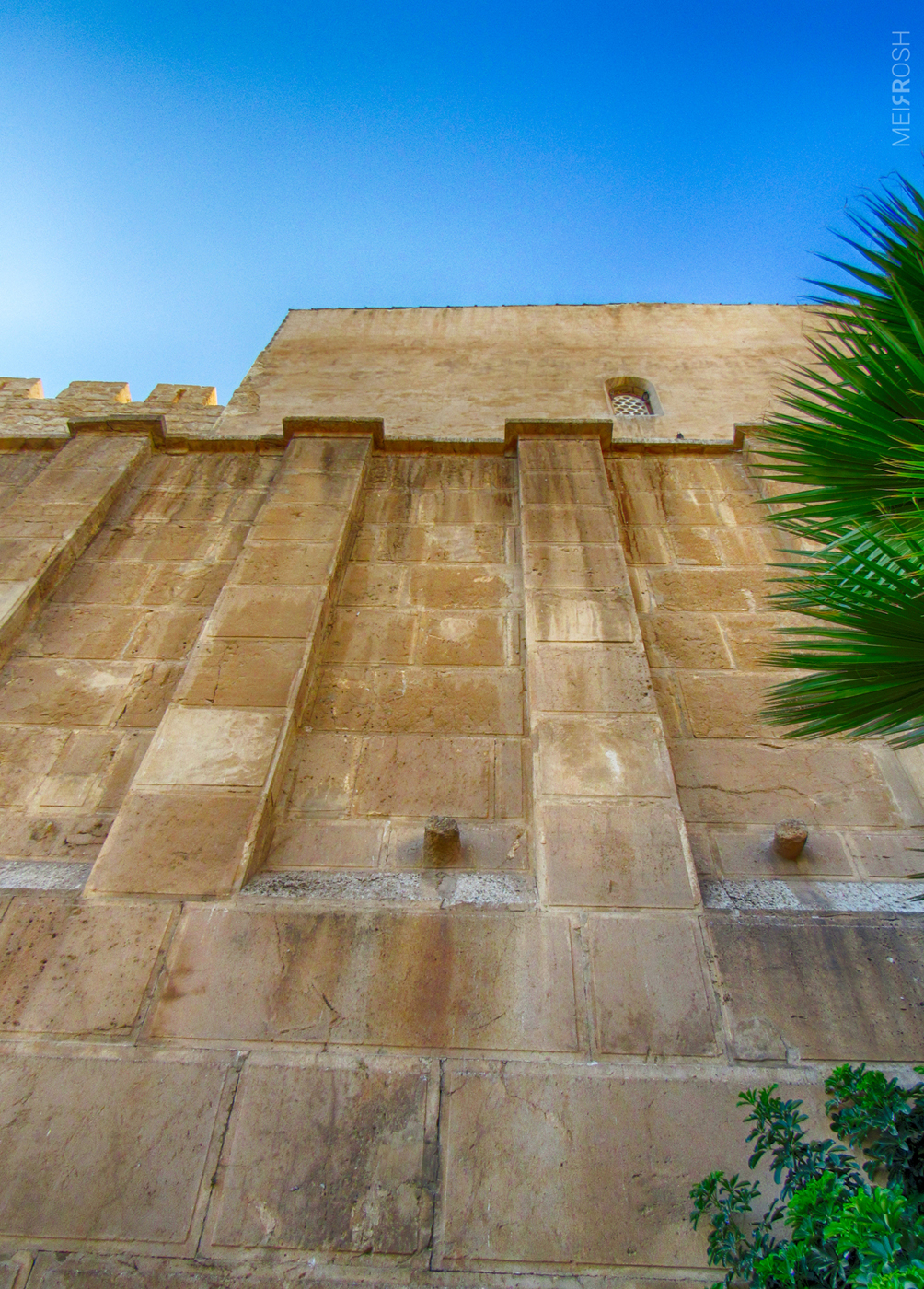 מערת המכפלה (19)