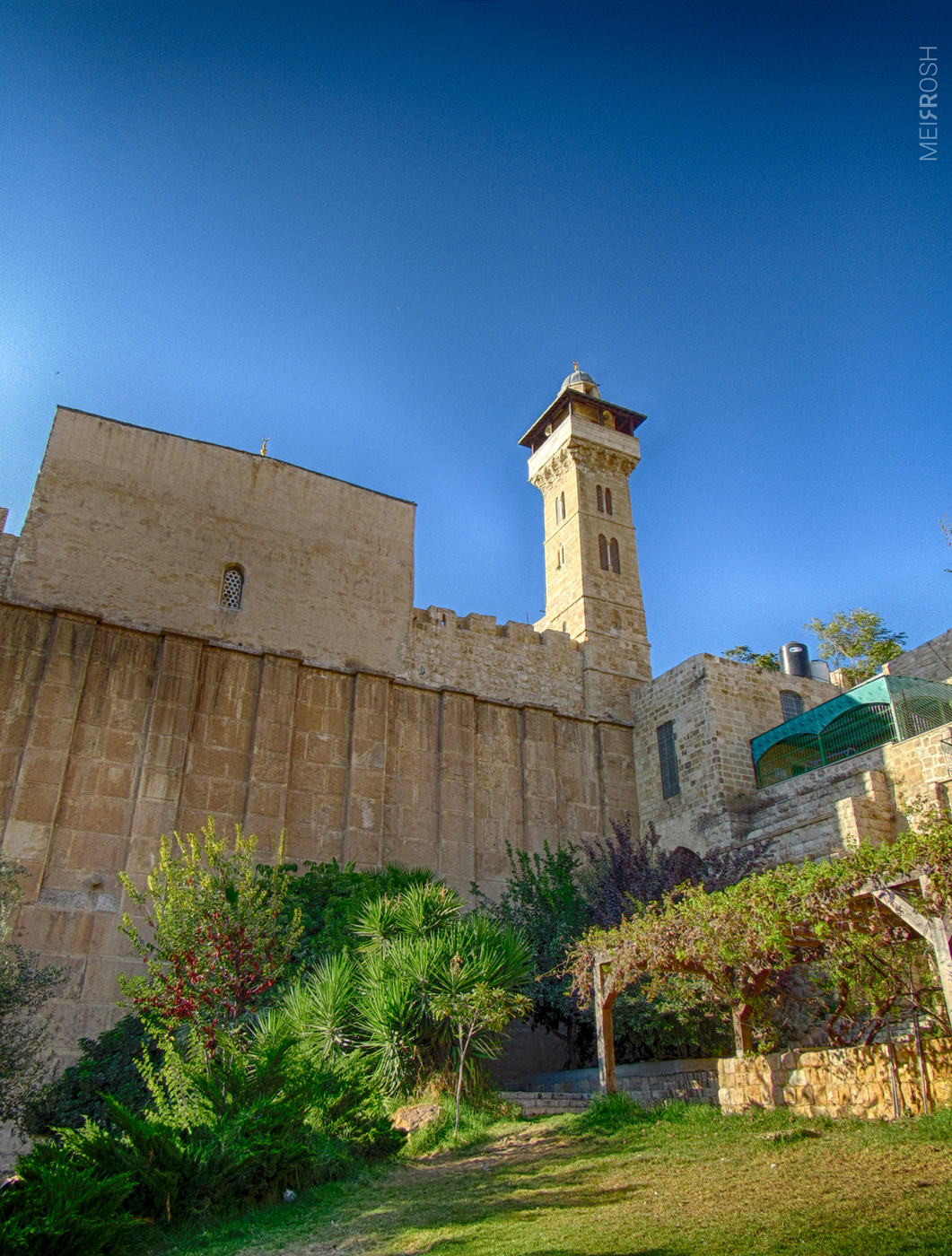 מערת המכפלה (20)