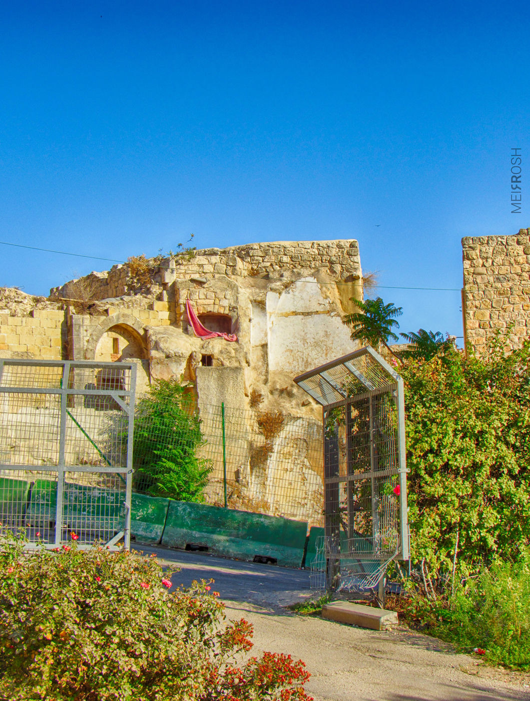 מערת המכפלה (21)