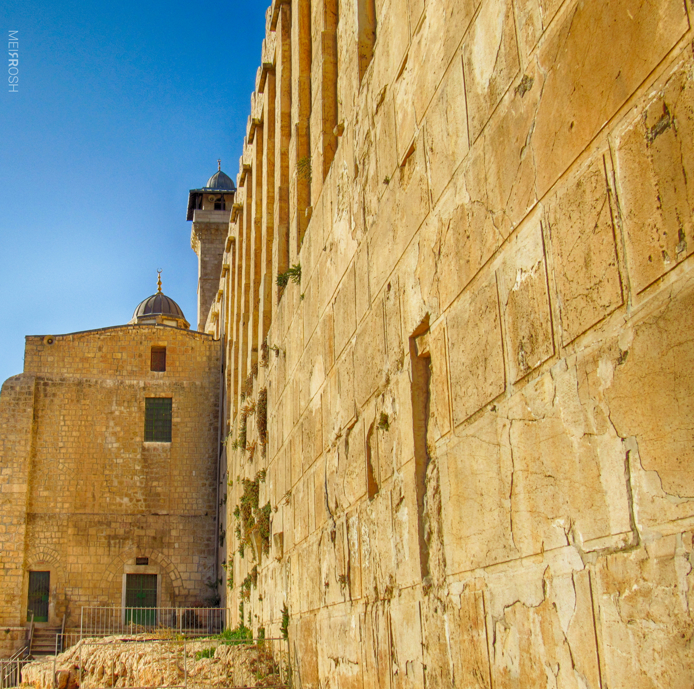 מערת המכפלה (22)