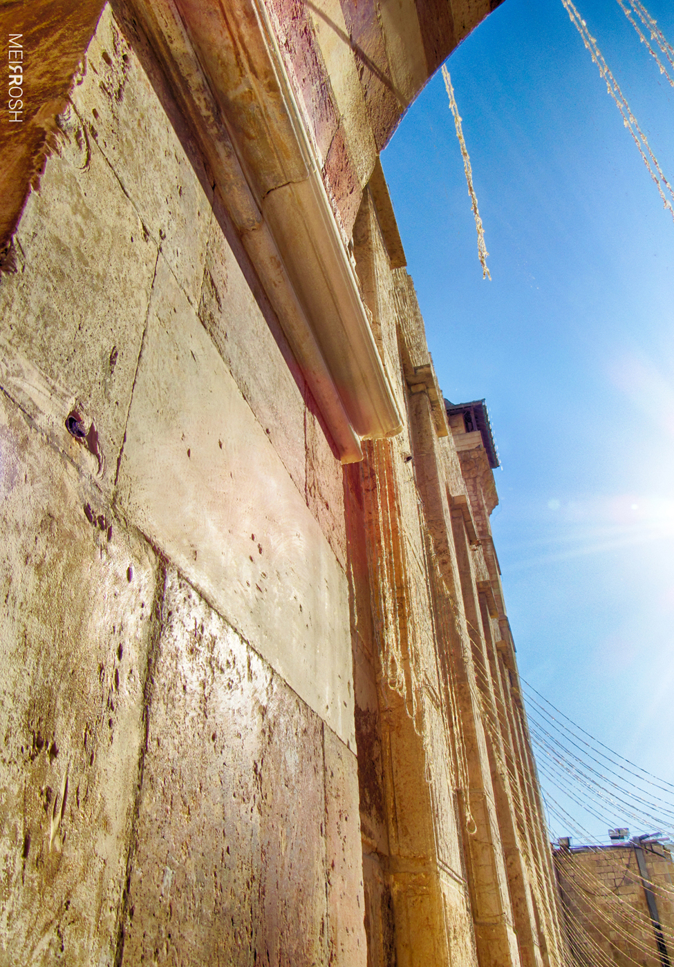 מערת המכפלה (8)