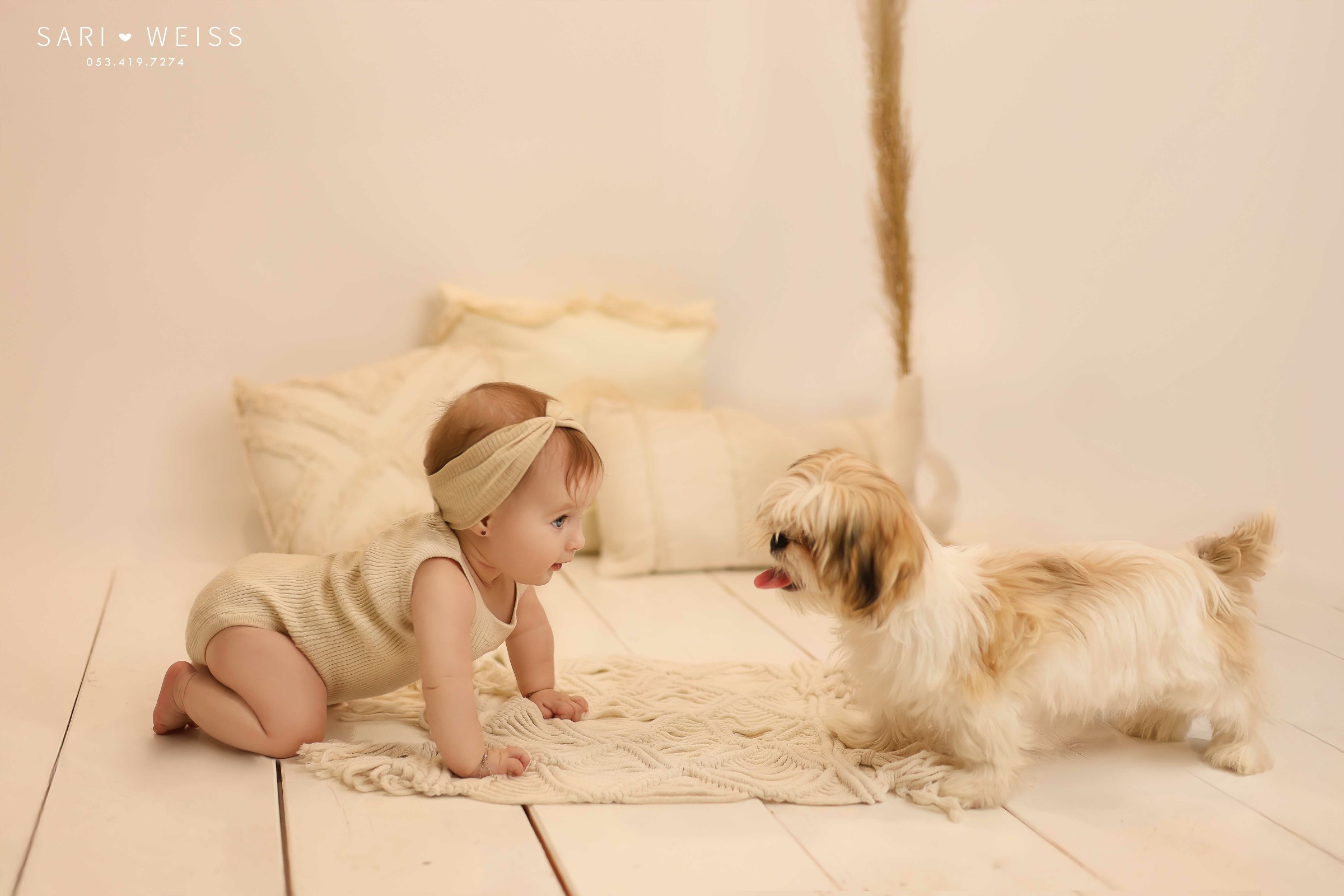 מפעל הפורמטים237A8696 copy מוקטן.jpg