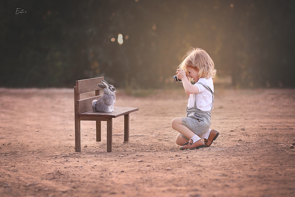 מצלם ארנבת מ.jpg