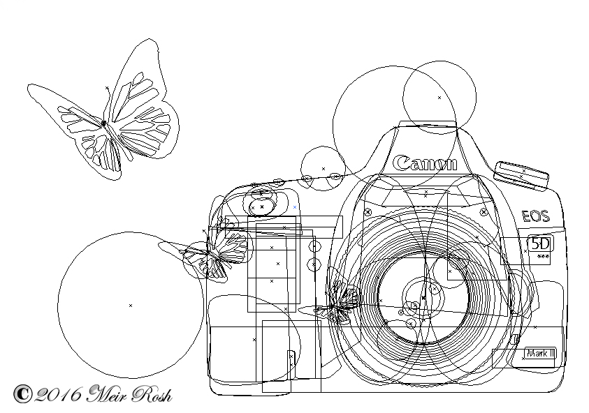 מצלמת קנון EOS 5D
במצב תצוגה של Outline