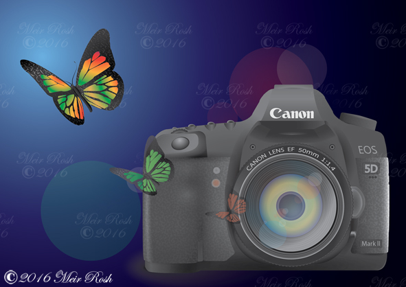 מצלמת קנון EOS 5D