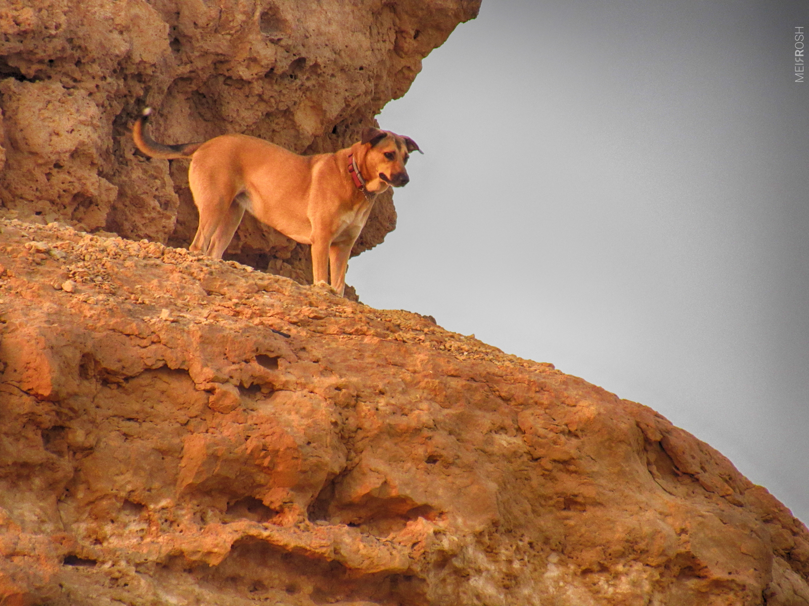 מצפה רמון (1)