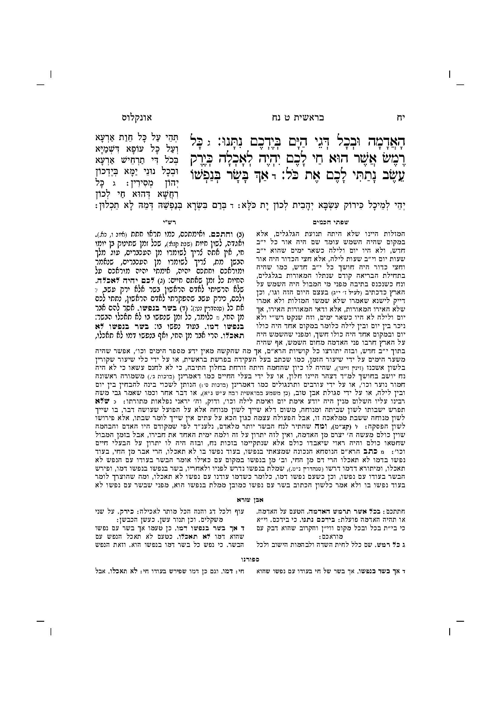 מקראות קטנות - נח