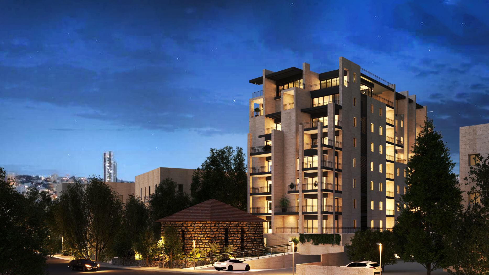 מקר חיים 21.png